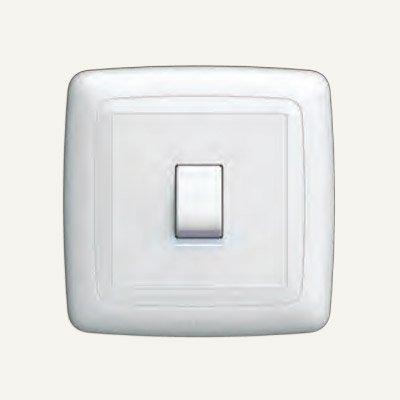 Bahra Electric 1110142 1 Gang 45A Small Double Pole Switch